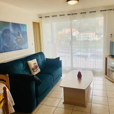 F2 Avec Terrasse, Clim, Parking, Animaux Ok - Amelie-les-bains - Fr-1-703-44