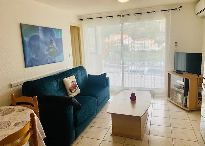 F2 Avec Terrasse, Clim, Parking, Animaux Ok - Amelie-les-bains - Fr-1-703-44
